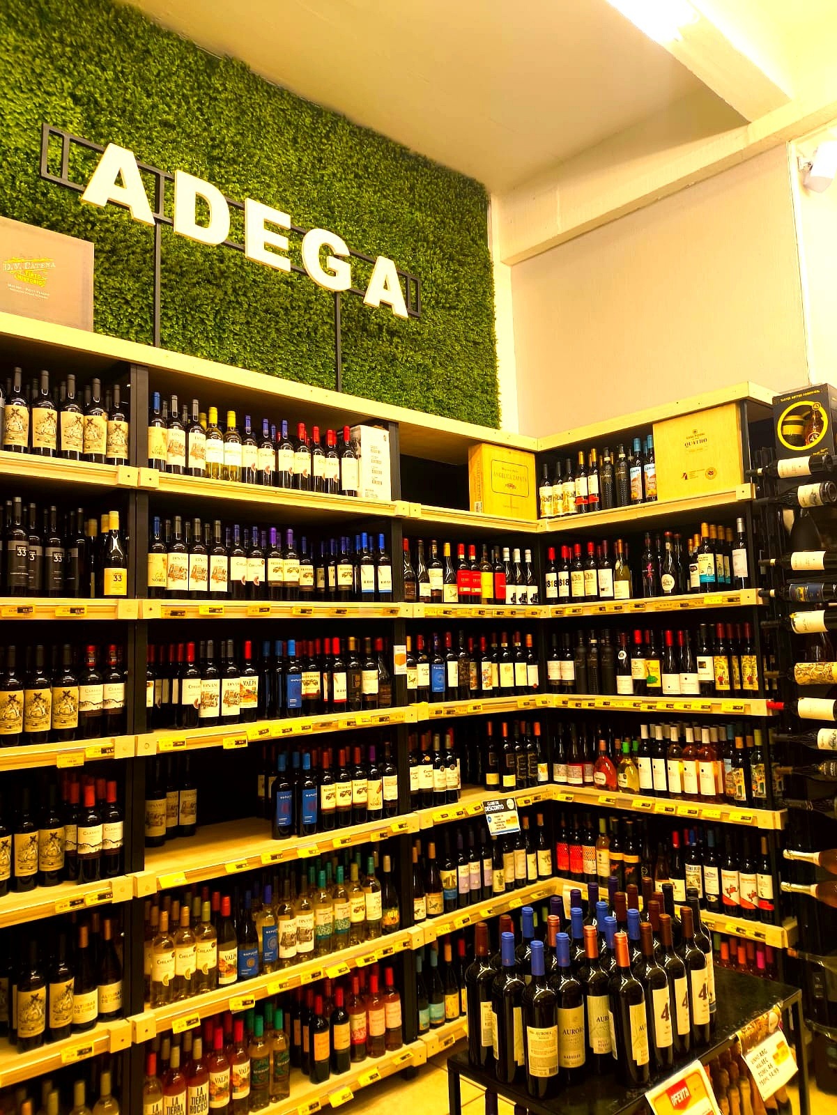Adega